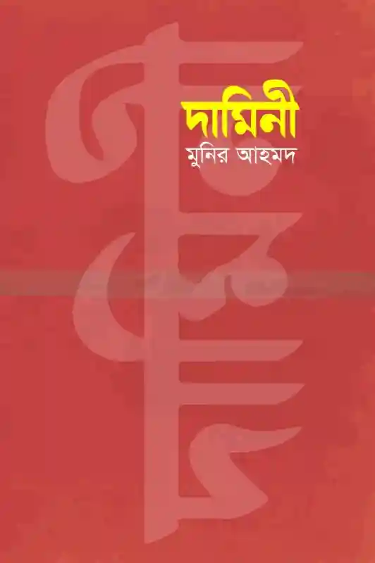দামিনী : মুনির আহমদ (গল্প-২০২৪)